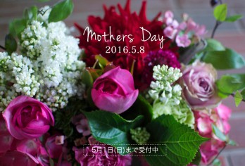 scene_arigatoflower_mother2016_1